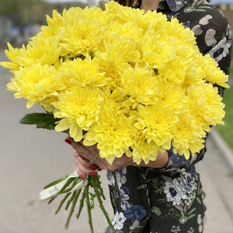 Солнечное настроение